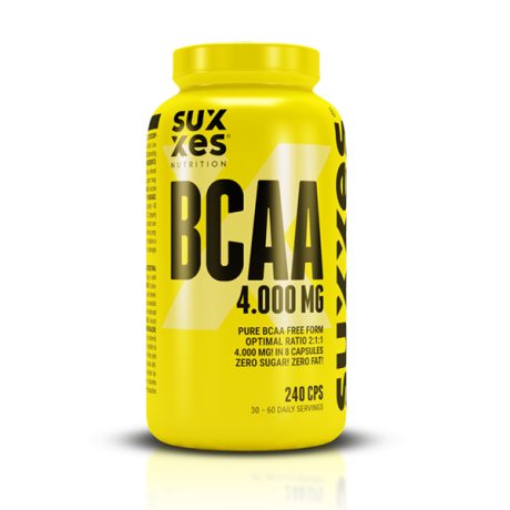 مکمل بی سی ای ای ساکسس نوتریشن BCAA Success Nutrition